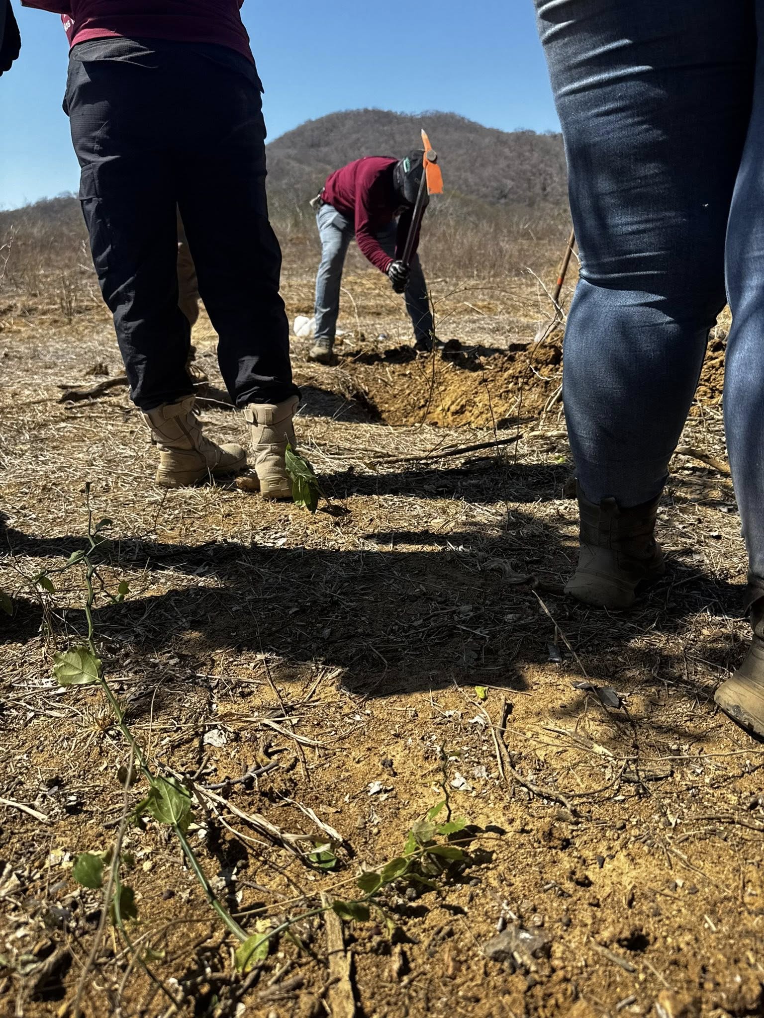 Hallan a dos mineros más en fosas de Concordia; suman siete víctimas