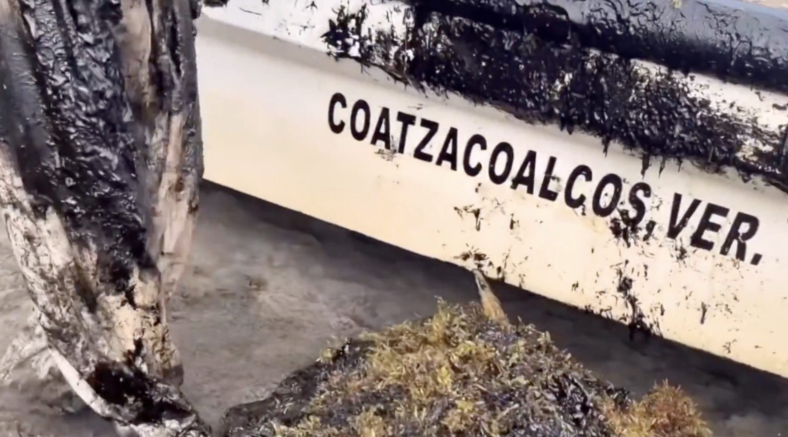 A 12 días del derrame de crudo en Veracruz:  Sin información ni avances