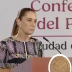 “Es parte de la campaña electoral de EU”: Sheinbaum responde tras las declaraciones de Marco Rubio