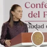 “No tenemos evidencia”: Sheinbaum responde a EU por disparos a la Guardia Costera de EU